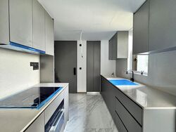 The Landmark (D3), Condominium #525314221